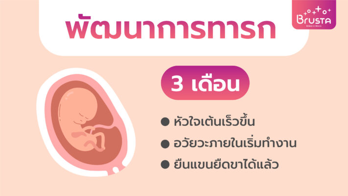 พัฒนาการทารก 3 เดือน