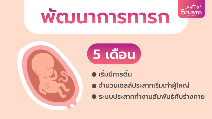 พัฒนาการทารก 5 เดือน