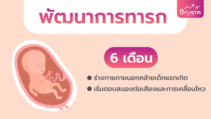 พัฒนาการทารก 6 เดือน