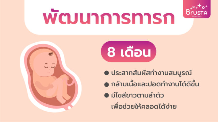พัฒนาการทารก 8 เดือน