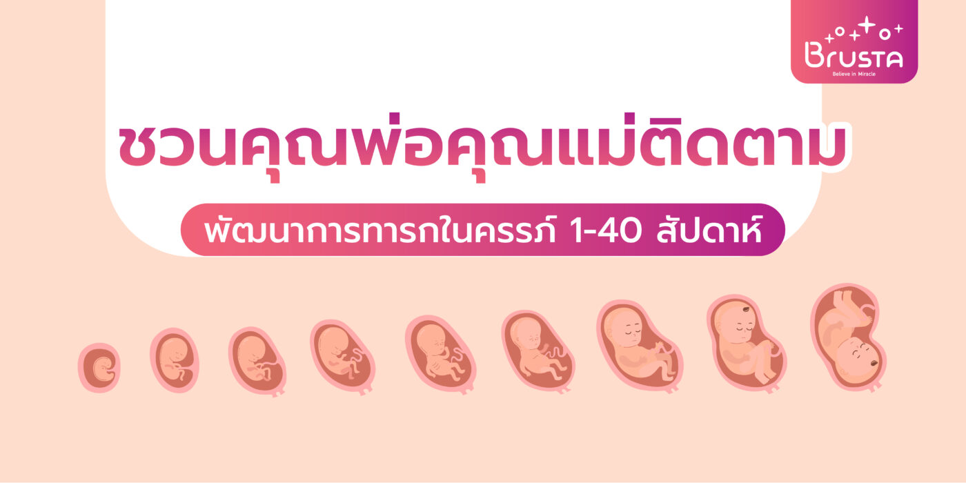 พัฒนาการทารกในครรภ์ 1-40 สัปดาห์