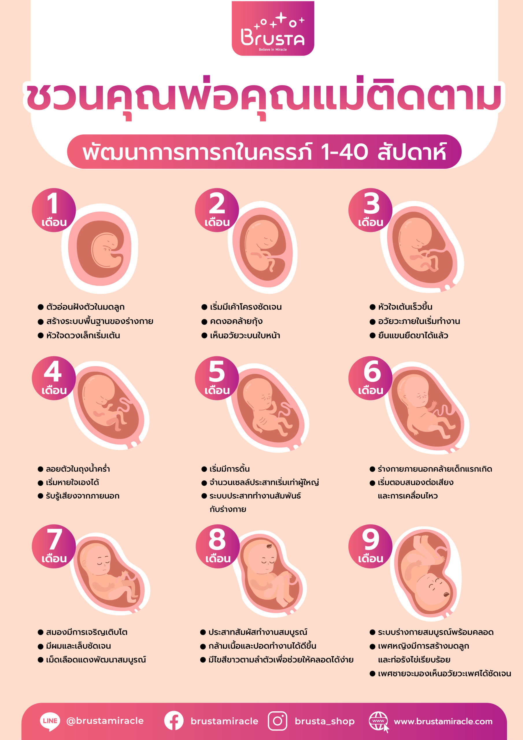 พัฒนาการทารกในครรภ์คุณแม่